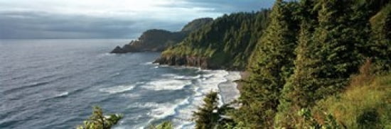High angle view of a coastline Heceta Head Lighthouse Oregon USA Canvas Art - Panoramic Images (36 x 12)