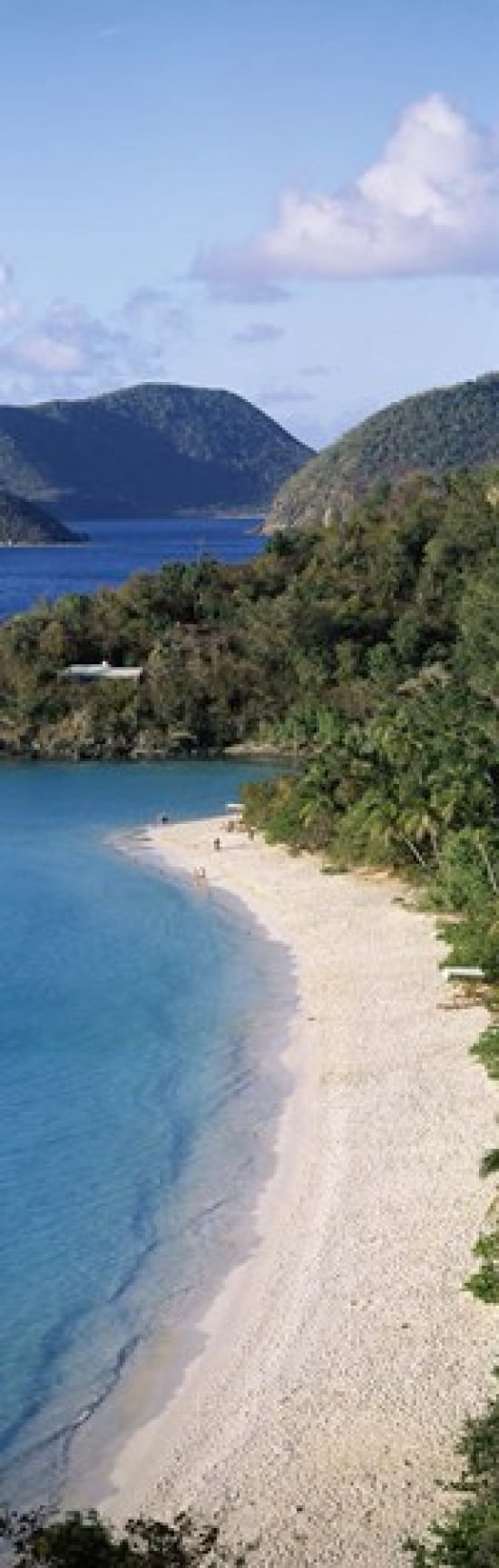 High angle view of a coastline Trunk Bay St John US Virgin Islands Canvas Art - Panoramic Images (18 x 6)