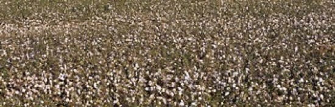 High angle view of a cotton field Fresno San Joaquin Valley California USA Canvas Art - Panoramic Images (18 x 6)
