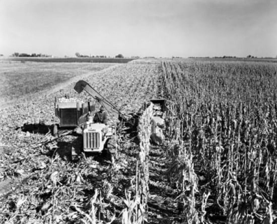 High angle view of a farmer harvesting corn with a combine in a field Davenport Iowa USA Canvas Art - (24 x 36)