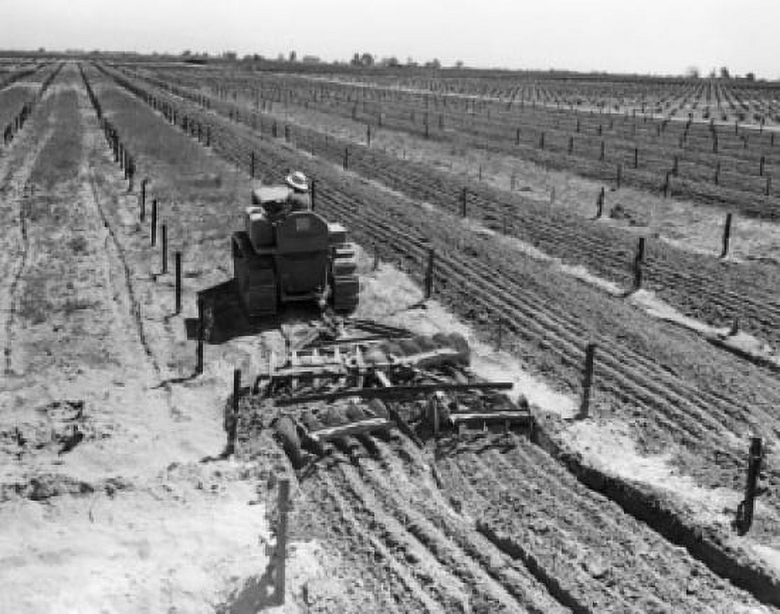 High angle view of a farmer plowing a vineyard Fresno California USA Canvas Art - (18 x 24)