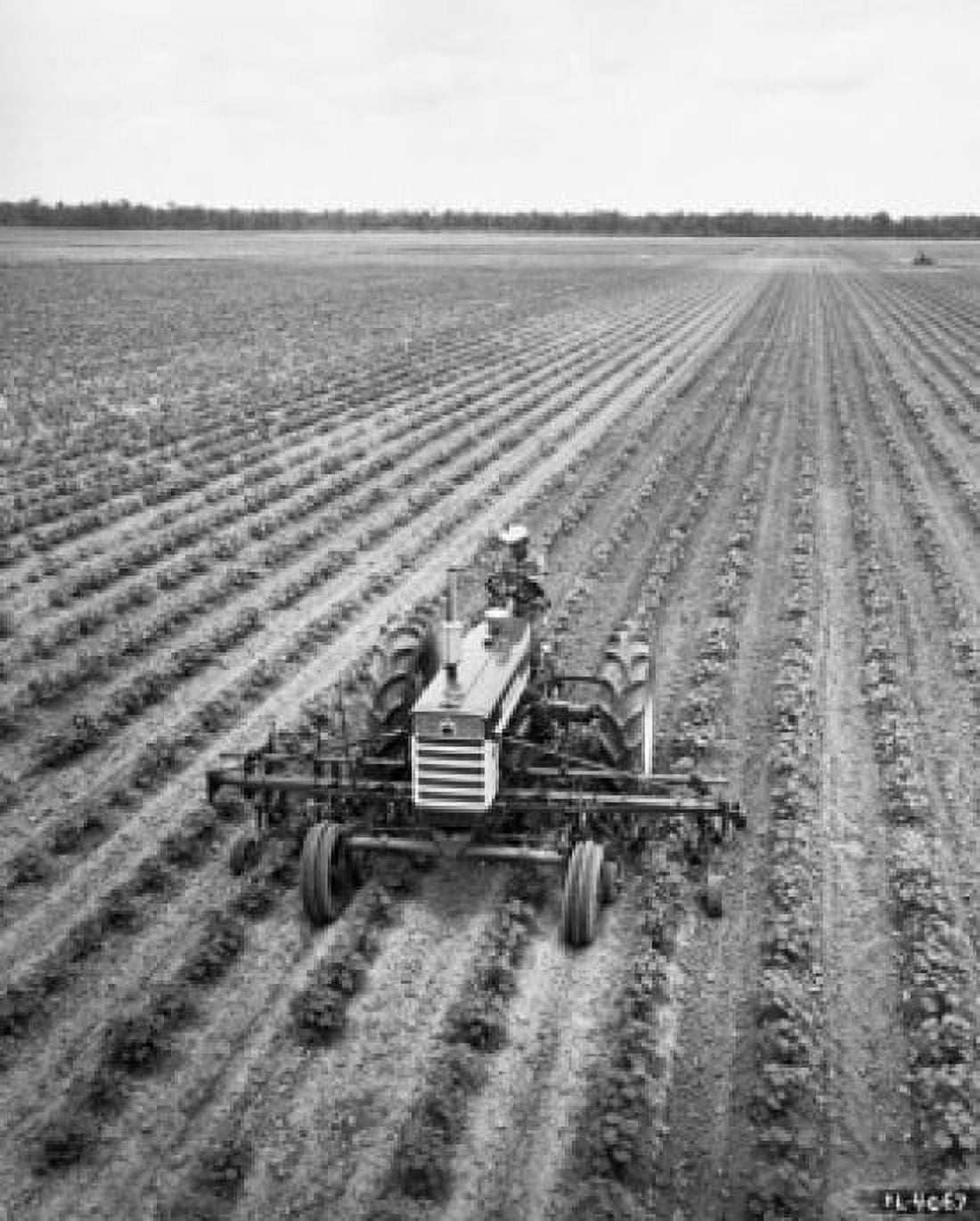 High angle view of a farmer sitting in a tractor on a soybean field Canvas Art - (18 x 24)