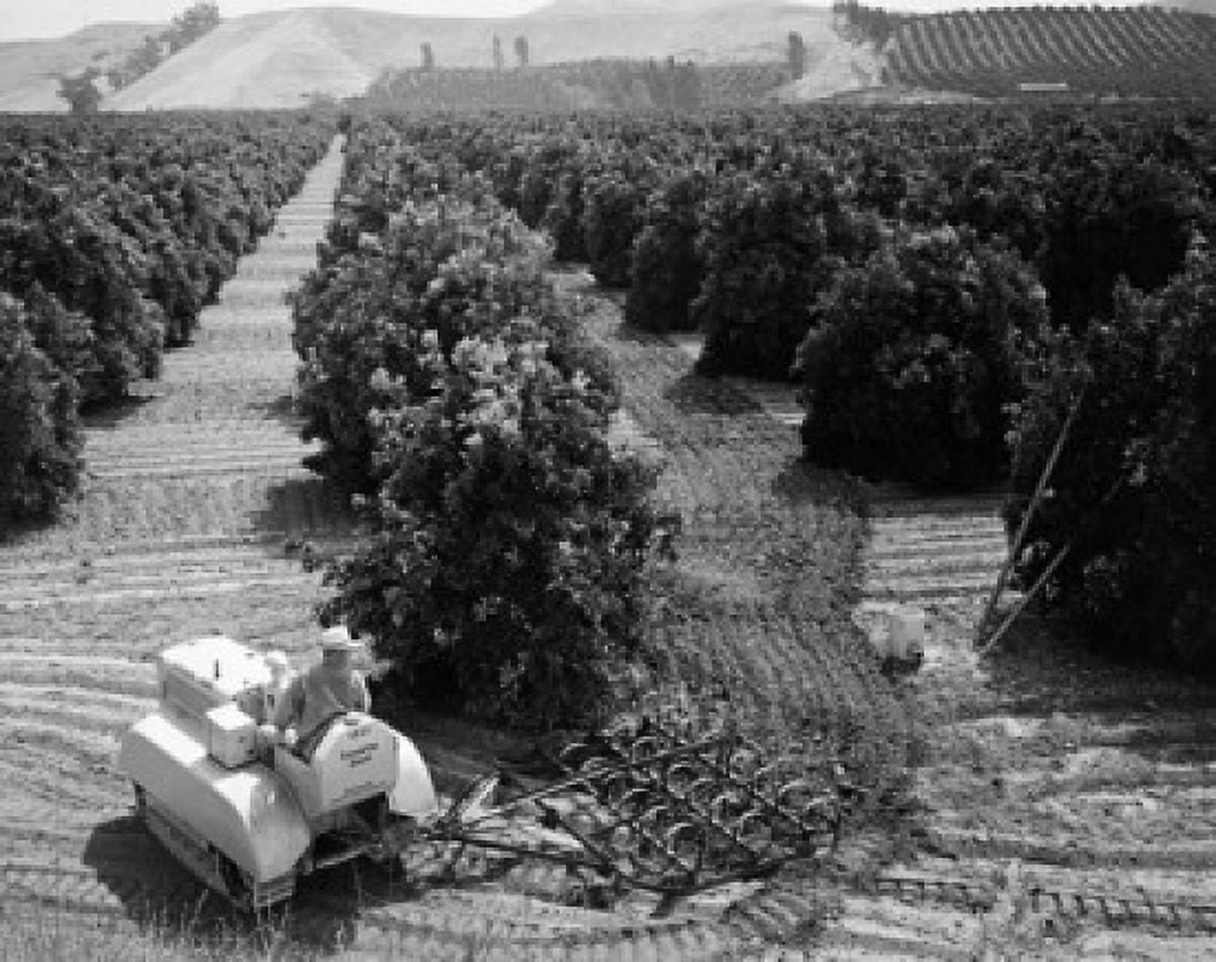High angle view of a farmer working in an orange grove San Juan Capistrano California USA Canvas Art - (18 x 24)