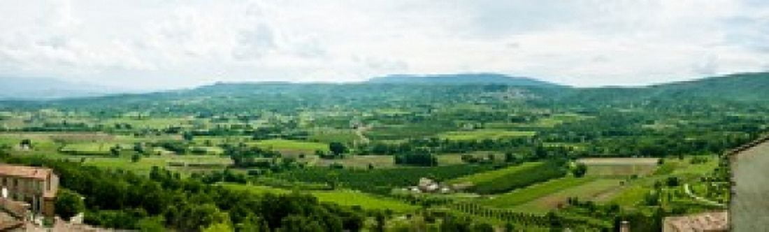 High angle view of a field Lacoste Vaucluse Provence-Alpes-Cote dAzur France Canvas Art - Panoramic Images (15 x 5)