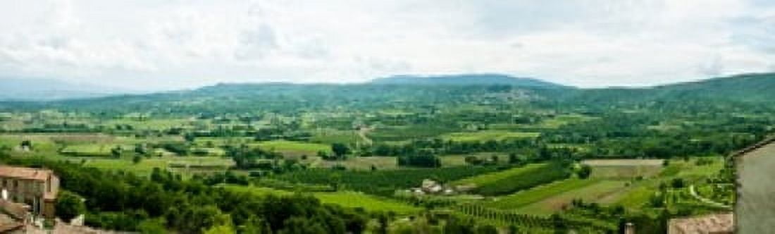 High angle view of a field Lacoste Vaucluse Provence-Alpes-Cote dAzur France Canvas Art - Panoramic Images (38 x 12)