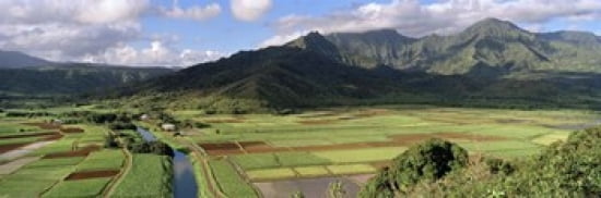 High angle view of a field with mountains in the background Hanalei Valley Kauai Hawaii USA Canvas Art - Panoramic Images (36 x 12)