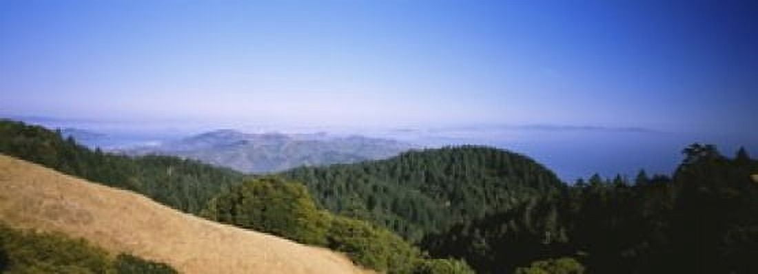 High angle view of a forest Mt Tamalpais California USA Canvas Art - Panoramic Images (18 x 7)