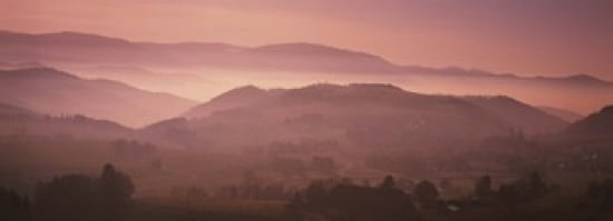 High angle view of a forest St Peter Black Forest Germany Canvas Art - Panoramic Images (36 x 13)