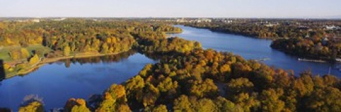 High angle view of a forest Wenner-Gren Center Brunnsviken Stockholm Sweden Canvas Art - Panoramic Images (18 x 6)