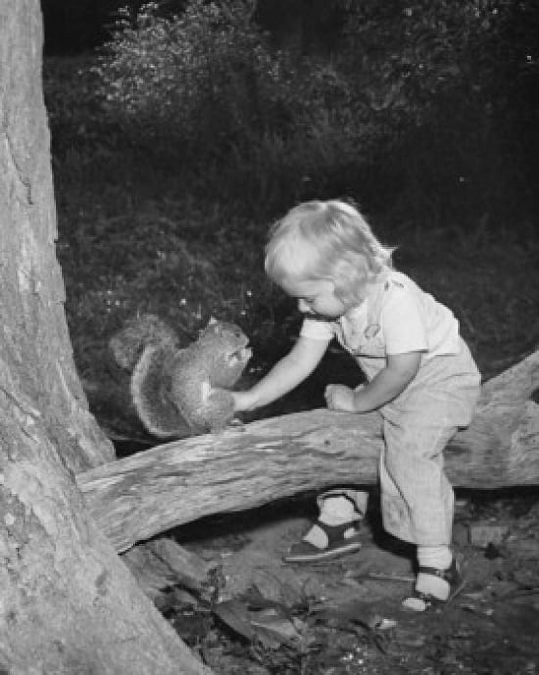 High angle view of a girl sitting on a branch and feeding a squirrel Canvas Art - (24 x 36)