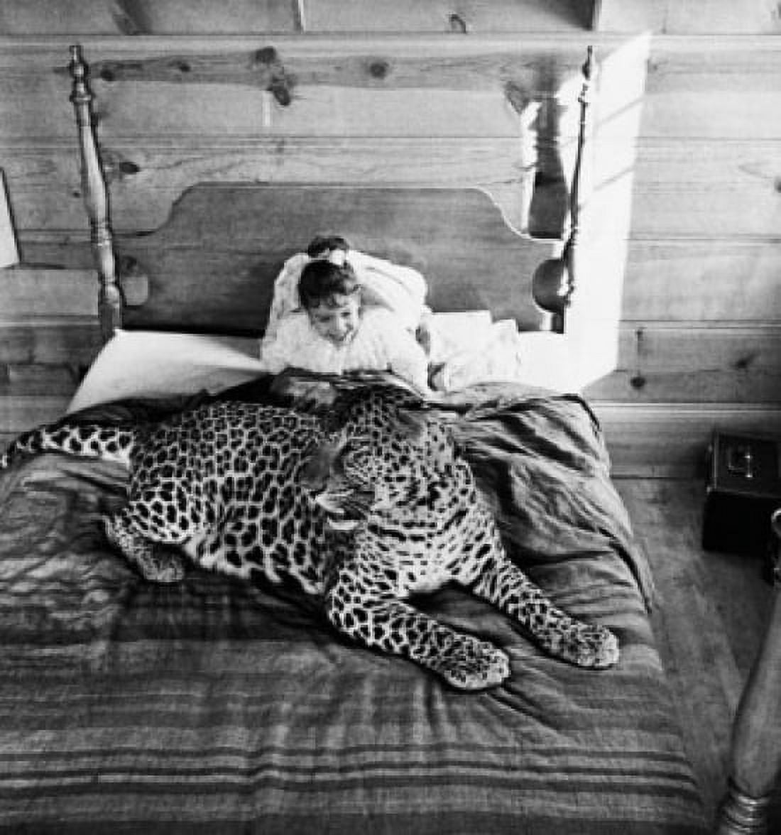 High angle view of a girl sitting on the bed with a leopard (Panthera pardus) Canvas Art - (18 x 24)