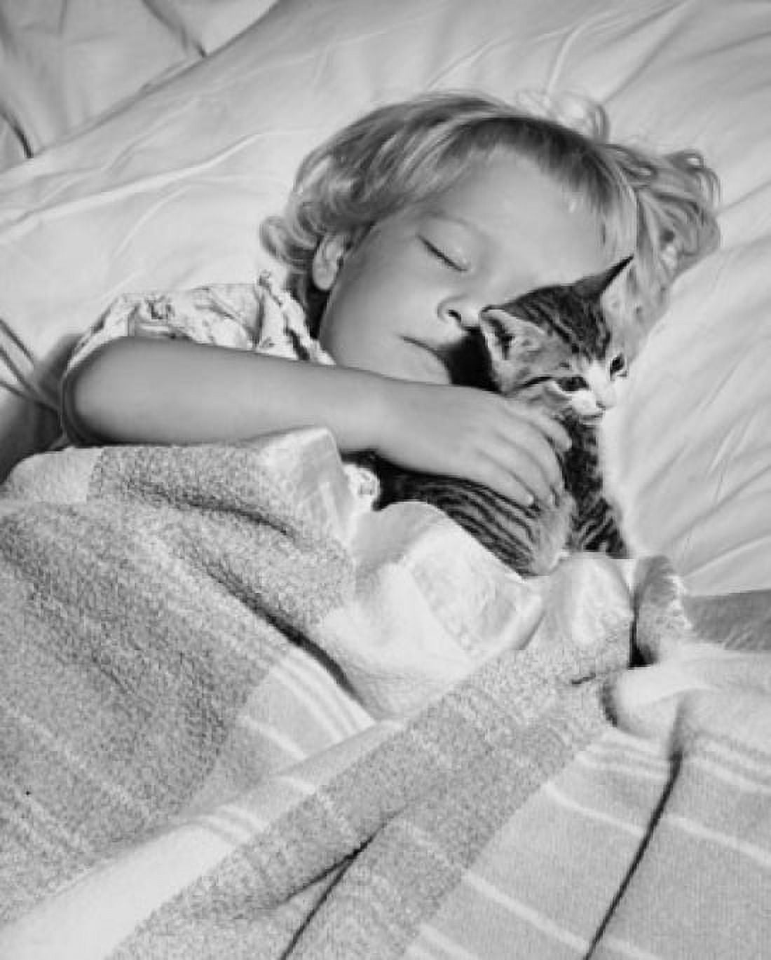 High angle view of a girl sleeping with a kitten Canvas Art - (18 x 24)