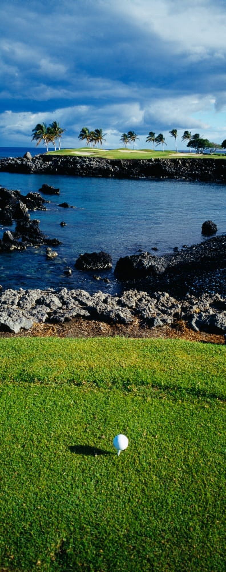 High angle view of a golf ball on a tee in a golf Course Hawaii USA Canvas Art - Panoramic Images (27 x 9)
