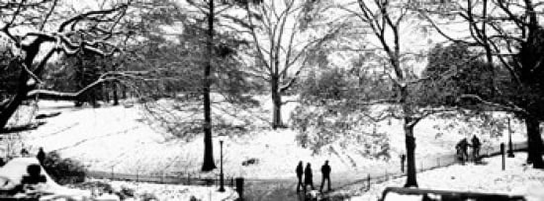 High angle view of a group of people in a park Central Park Manhattan New York City New York USA Canvas Art - Panoramic Images (15 x 6)