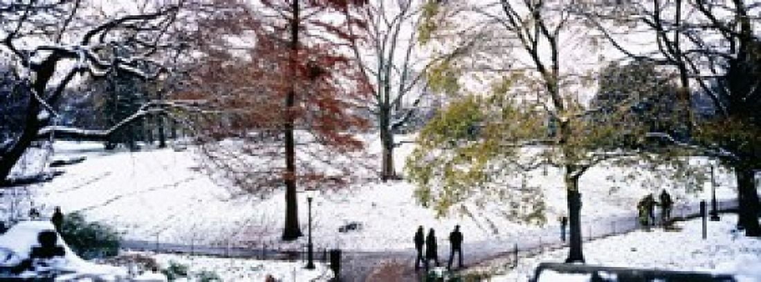 High angle view of a group of people in a park Central Park Manhattan New York City New York USA Canvas Art - Panoramic Images (15 x 6)
