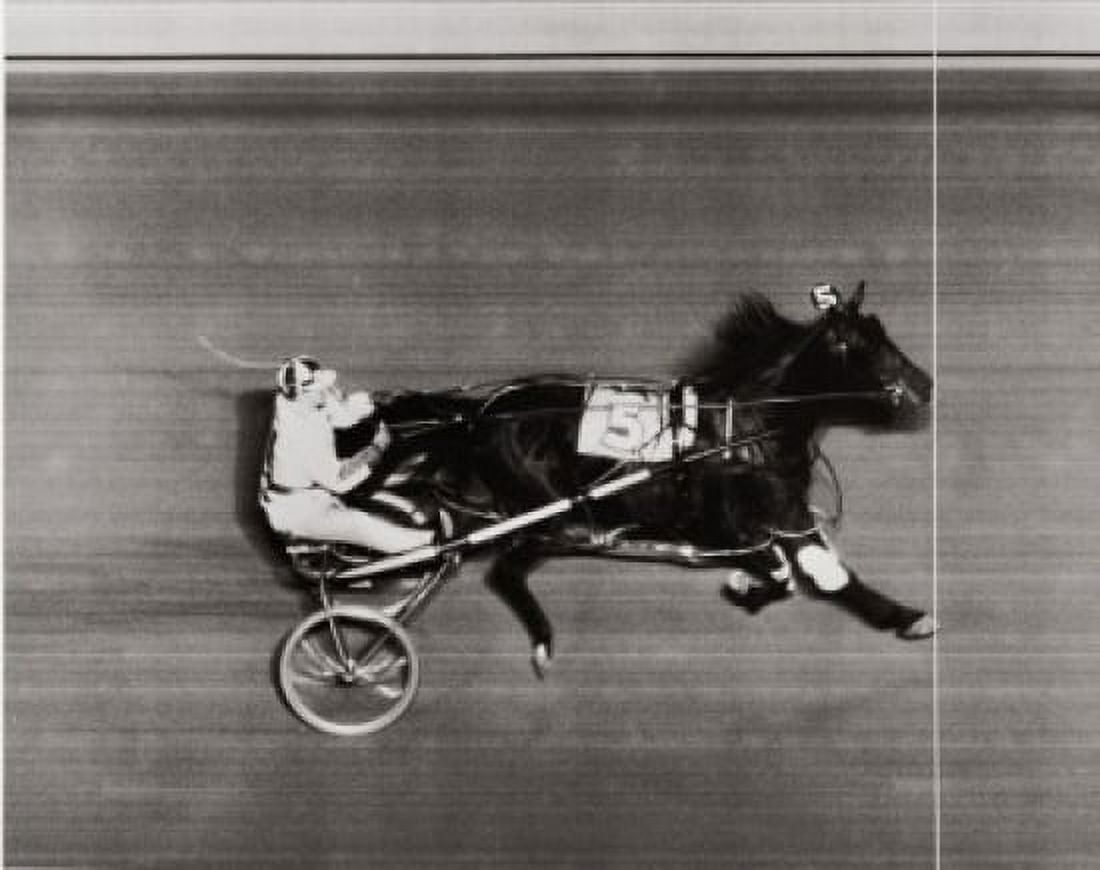 High angle view of a jockey and racehorse riding in a race Canvas Art - (18 x 24)