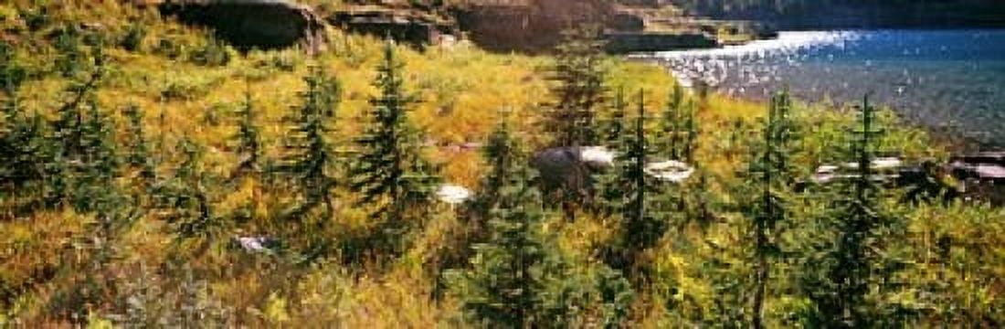 High angle view of a lake Iceberg Lake US Glacier National Park Montana USA Canvas Art - Panoramic Images (18 x 6)