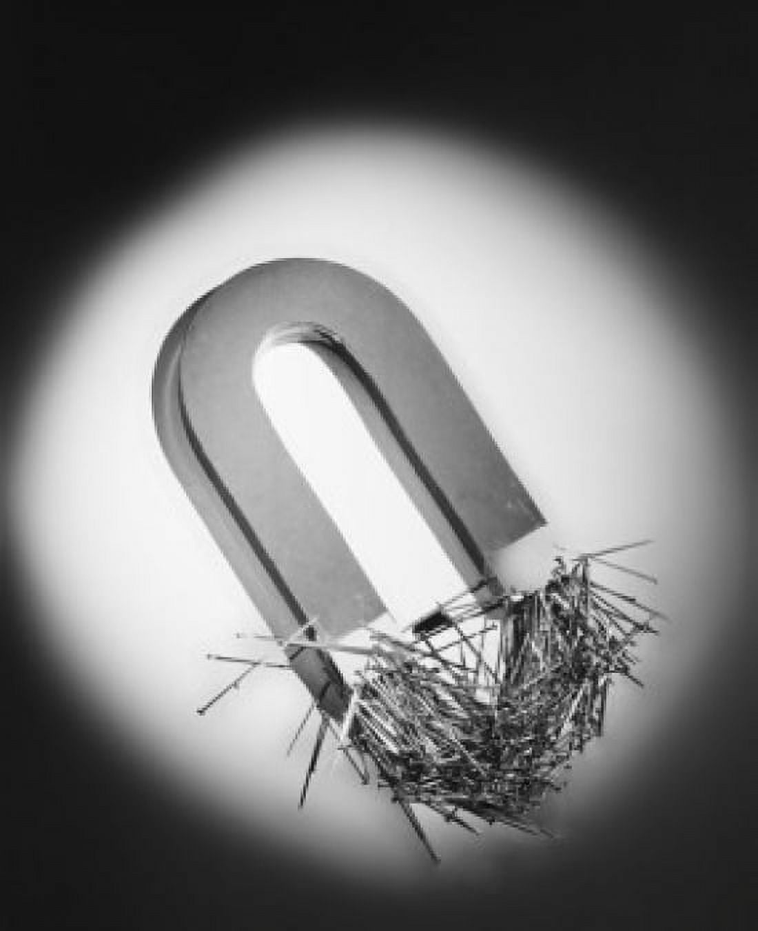 High angle view of a magnet attracting pins Canvas Art - (18 x 24)