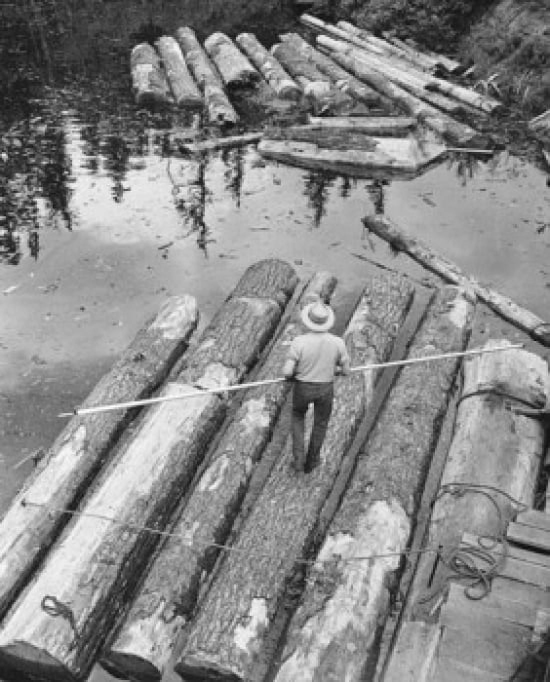 High angle view of a man standing on a log in water Canvas Art - (24 x 36)