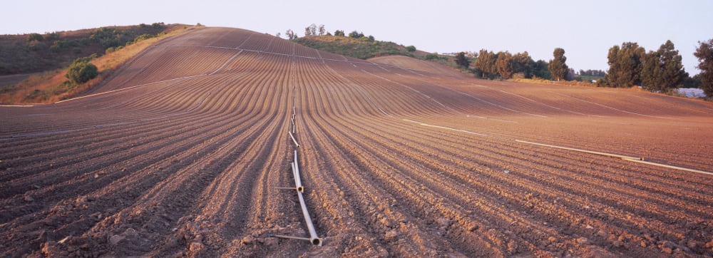 High angle view of a plowed field Camarillo California USA Canvas Art - Panoramic Images (36 x 12)