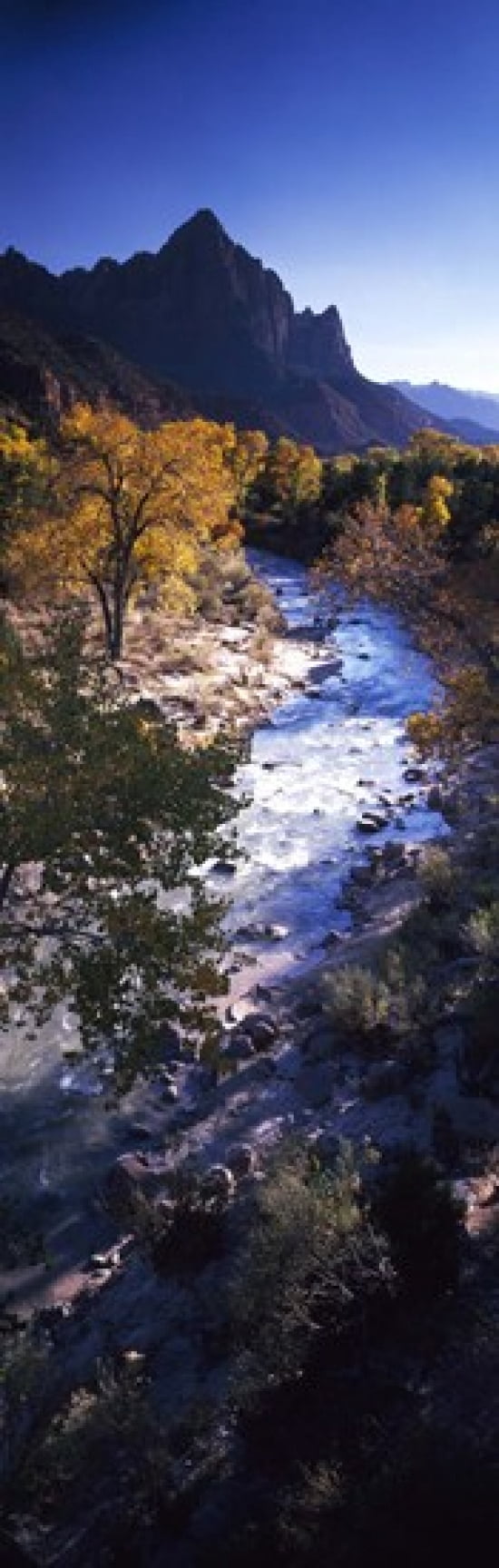 High angle view of a river flowing through a forest Virgin River Zion National Park Utah USA Canvas Art - Panoramic Images (36 x 12)