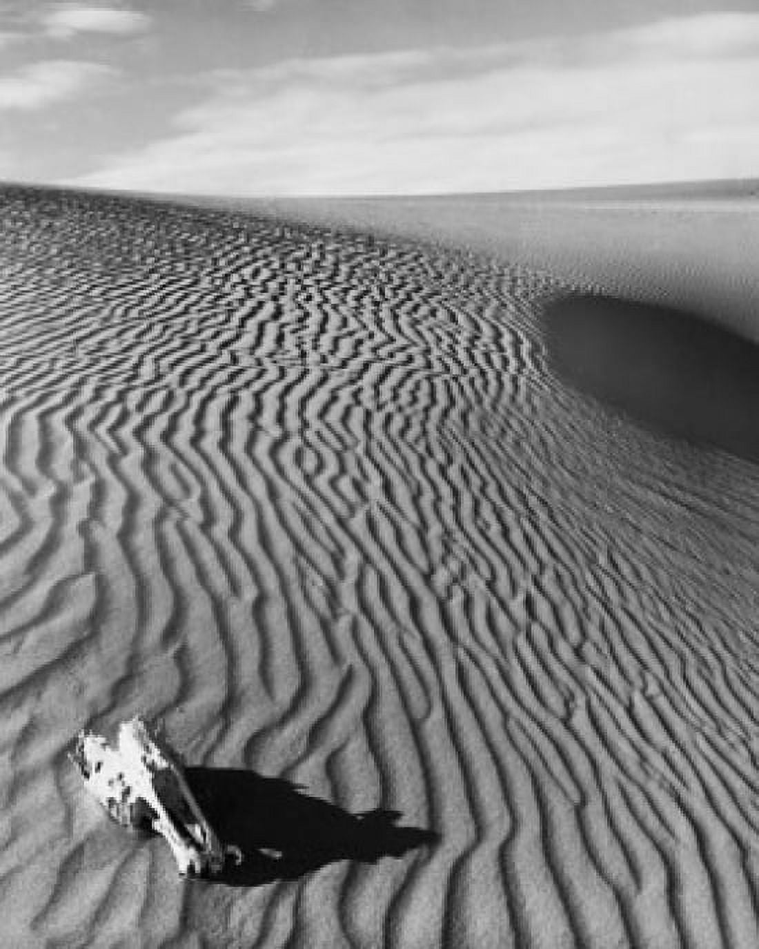 High angle view of a skull in a desert Death Valley California USA Canvas Art - (24 x 36)