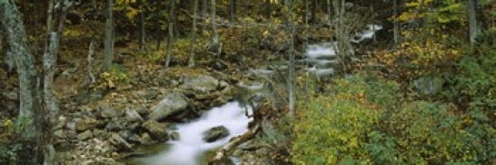 High angle view of a stream passing through a forest New Hampshire USA Canvas Art - Panoramic Images (36 x 12)
