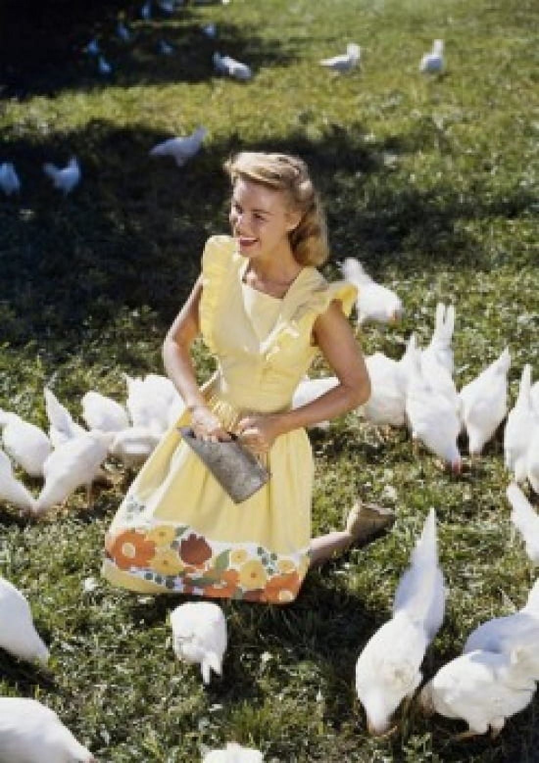 High angle view of a teenage girl feeding chickens in a field Canvas Art - (24 x 36)
