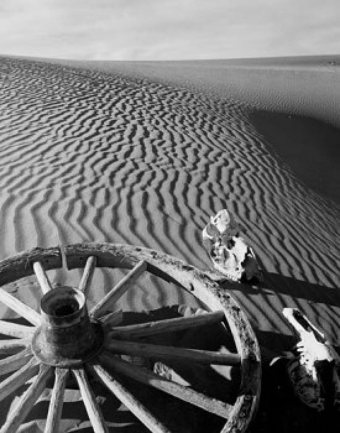 High angle view of a wagon wheel and skulls in a desert Death Valley California USA Canvas Art - (24 x 36)