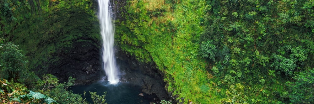 High angle view of a waterfall Akaka Falls Akaka Falls State Park Hawaii County Hawaii USA Canvas Art - Panoramic Images (12 x 36)
