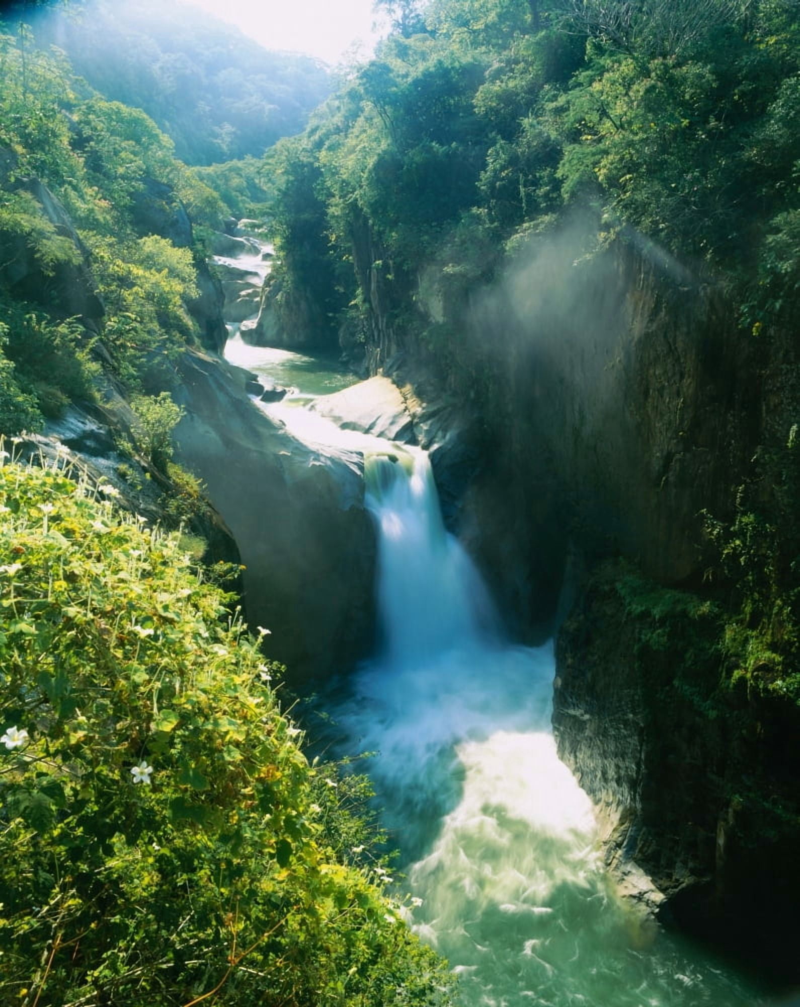 High angle view of a waterfall in a forest Mexico Canvas Art - Panoramic Images (12 x 36)