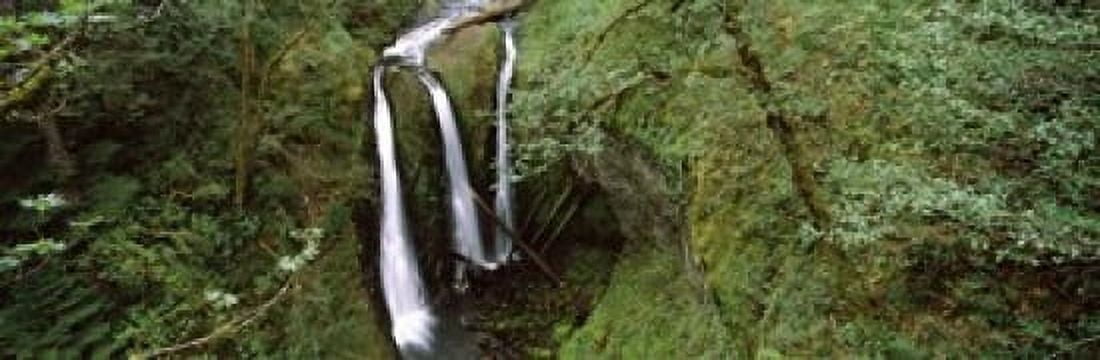 High angle view of a waterfall in a forest Triple Falls Columbia River Gorge Oregon USA Canvas Art - Panoramic Images (18 x 6)