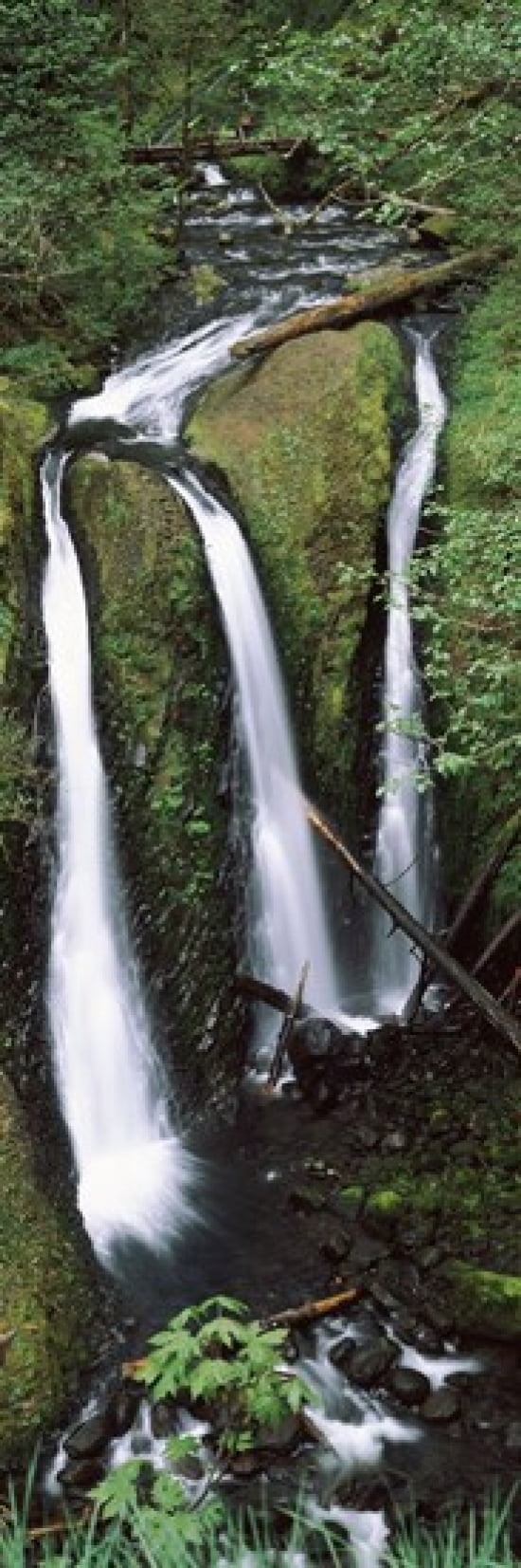 High angle view of a waterfall in a forest Triple Falls Columbia River Gorge Oregon USA Canvas Art - Panoramic Images (36 x 12)