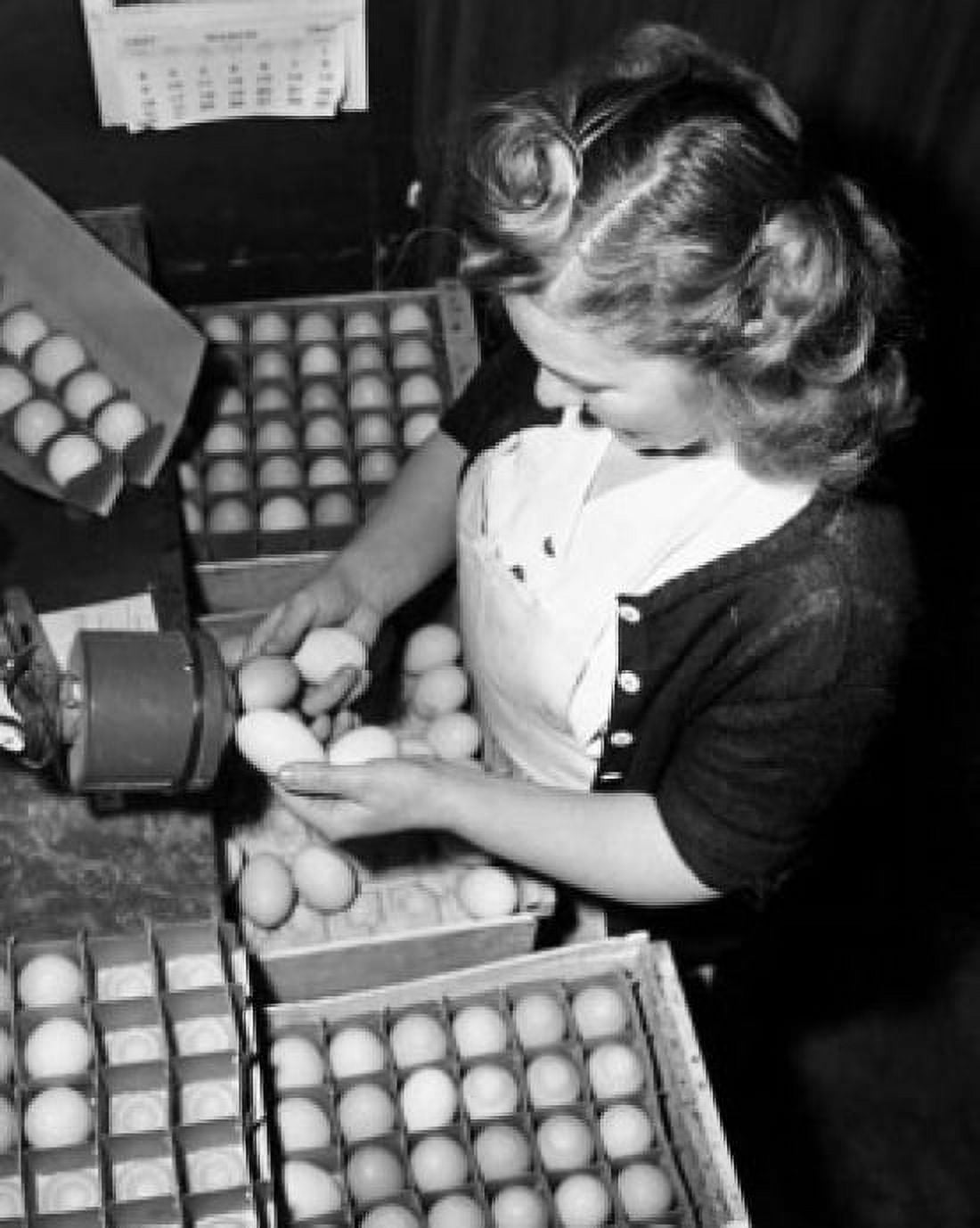 High angle view of a young woman examining eggs for freshness Canvas Art - (18 x 24)
