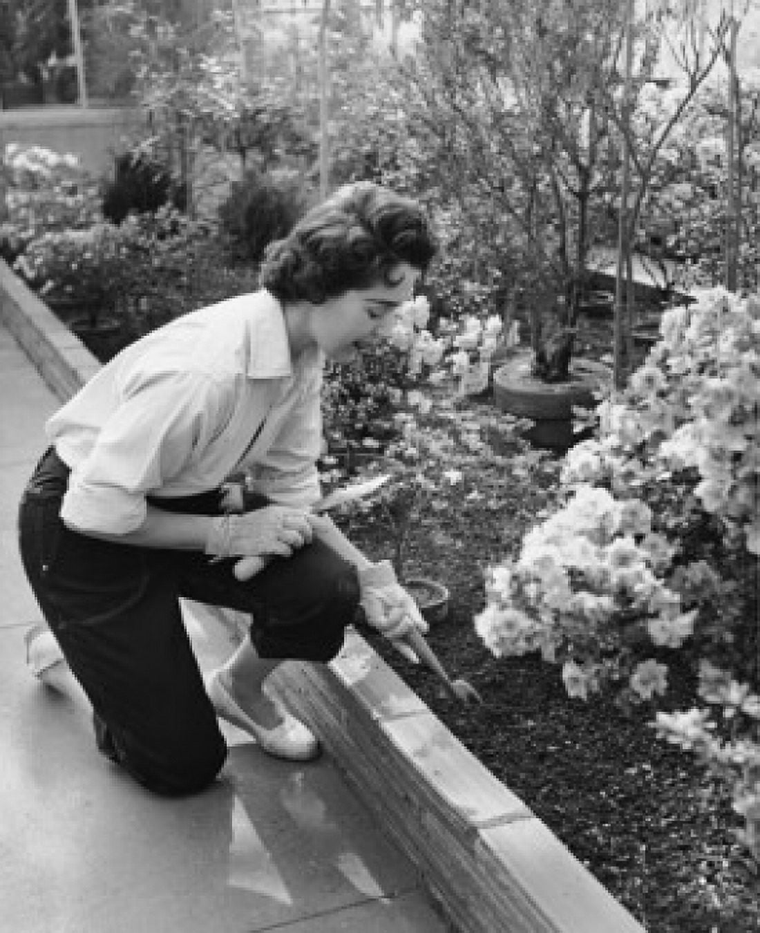 High angle view of a young woman gardening Canvas Art - (18 x 24)