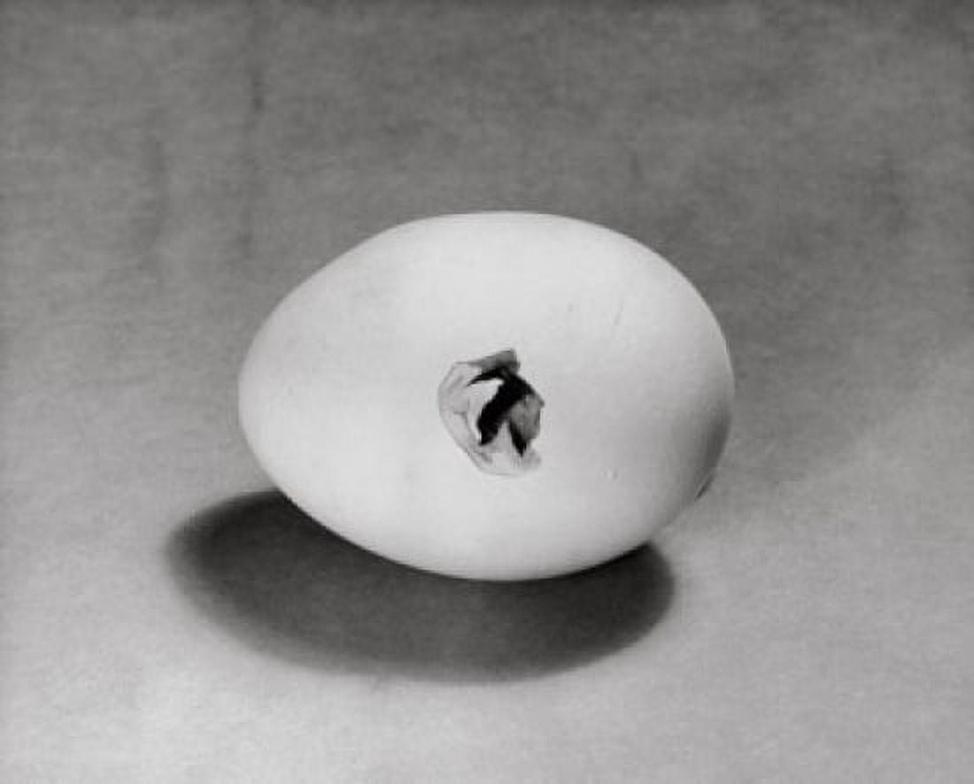 High angle view of an egg hatching Canvas Art - (24 x 36)