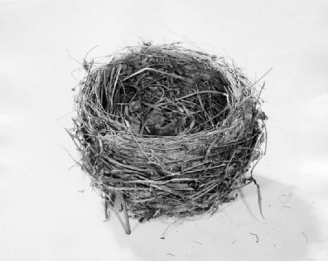 High angle view of an empty birds nest Canvas Art - (18 x 24)