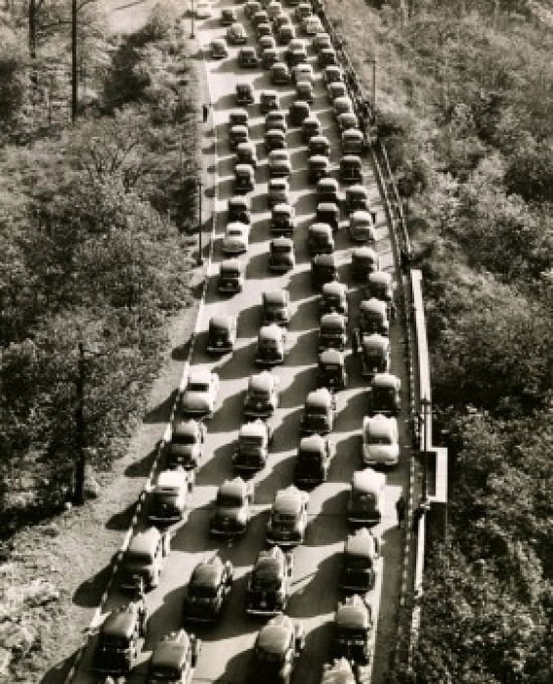 High angle view of cars waiting in line on a road Canvas Art - (18 x 24)