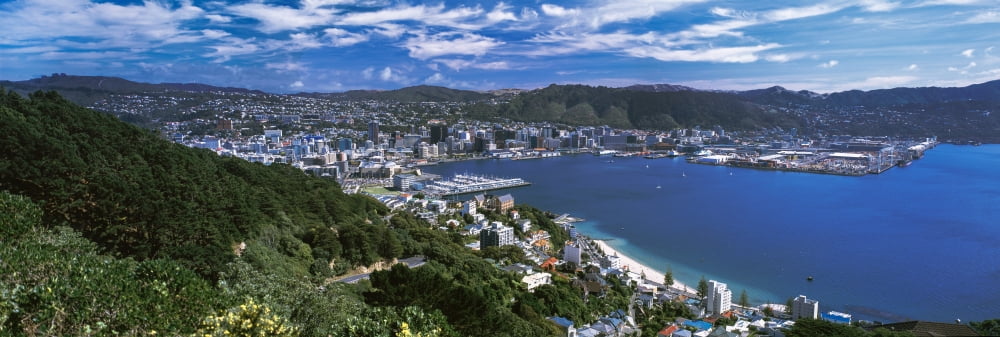 High angle view of city on the coast City of Wellington North Island New Zealand Canvas Art - Panoramic Images (27 x 9)