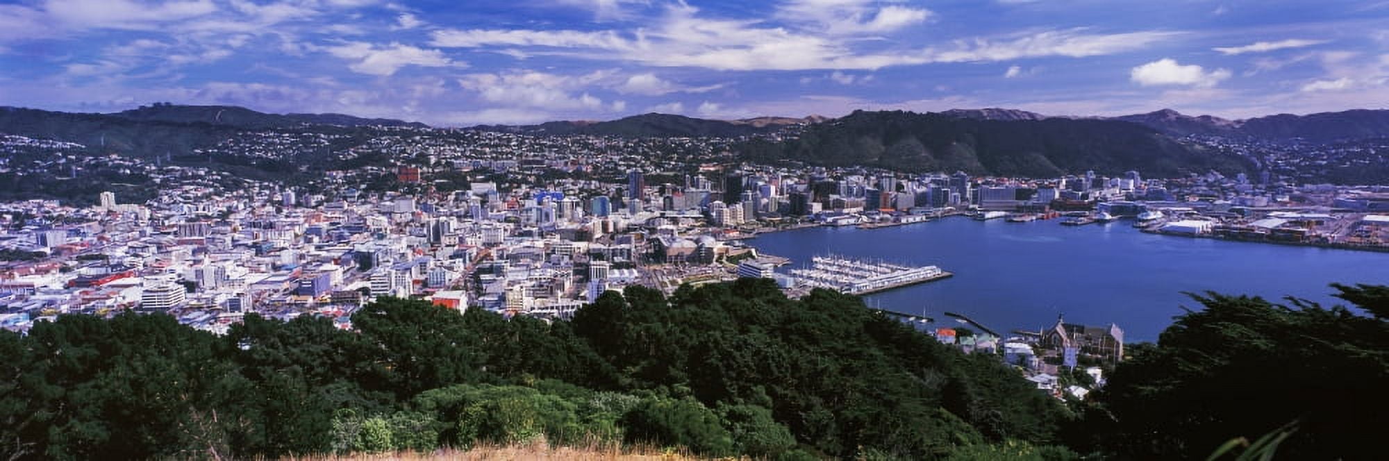 High angle view of city on the coast City of Wellington North Island New Zealand Canvas Art - Panoramic Images (27 x 9)