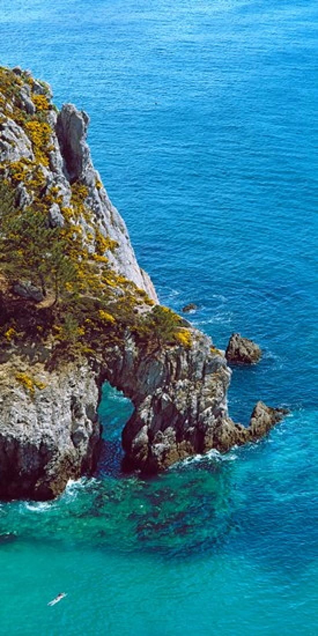High angle view of cliff at the coast Crozon Finistere Brittany France Canvas Art - Panoramic Images (24 x 12)