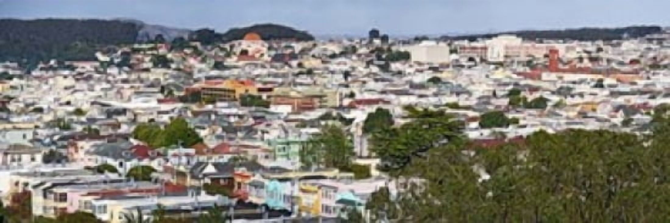 High angle view of colorful houses in a city Richmond District Laurel Heights San Francisco California USA Canvas Art - Panoramic Images (36 x 12)