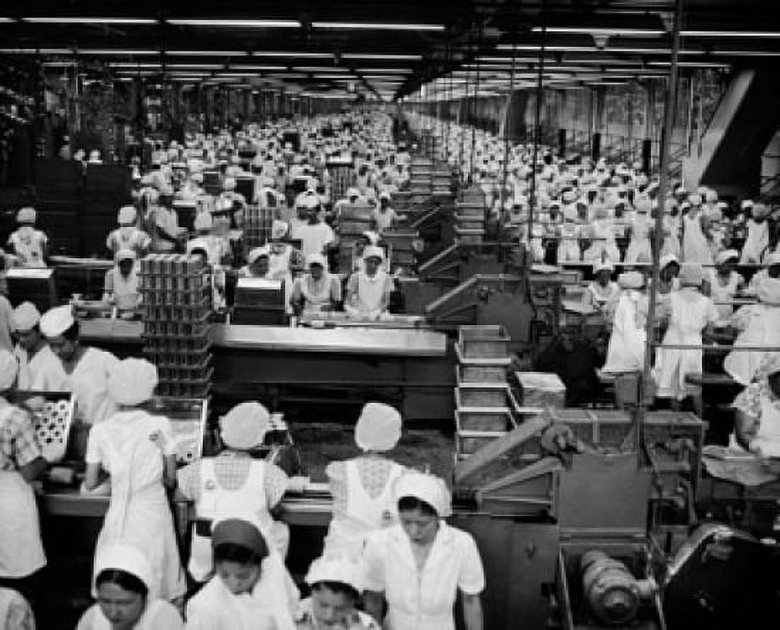 High angle view of female workers working in a food processing plant Pineapple Cannery Hawaii USA Canvas Art - (18 x 24)