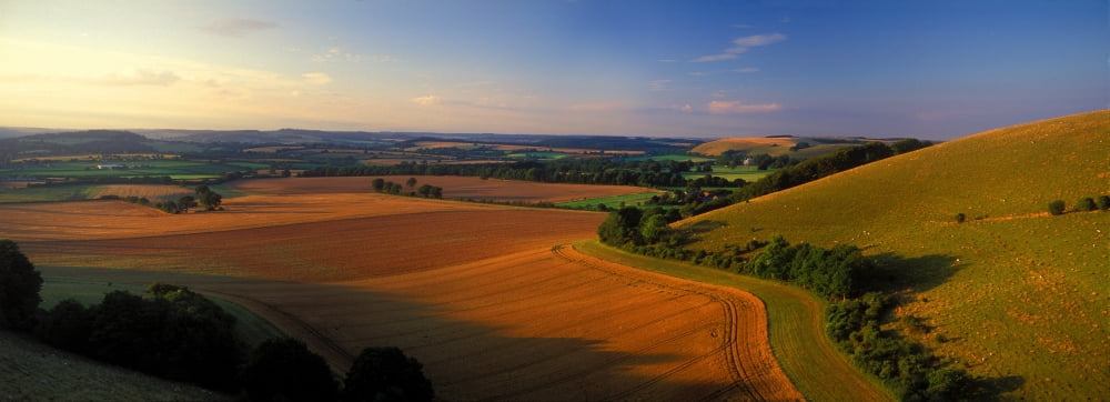 High angle view of field Shaftesbury Dorset England Canvas Art - Panoramic Images (36 x 12)