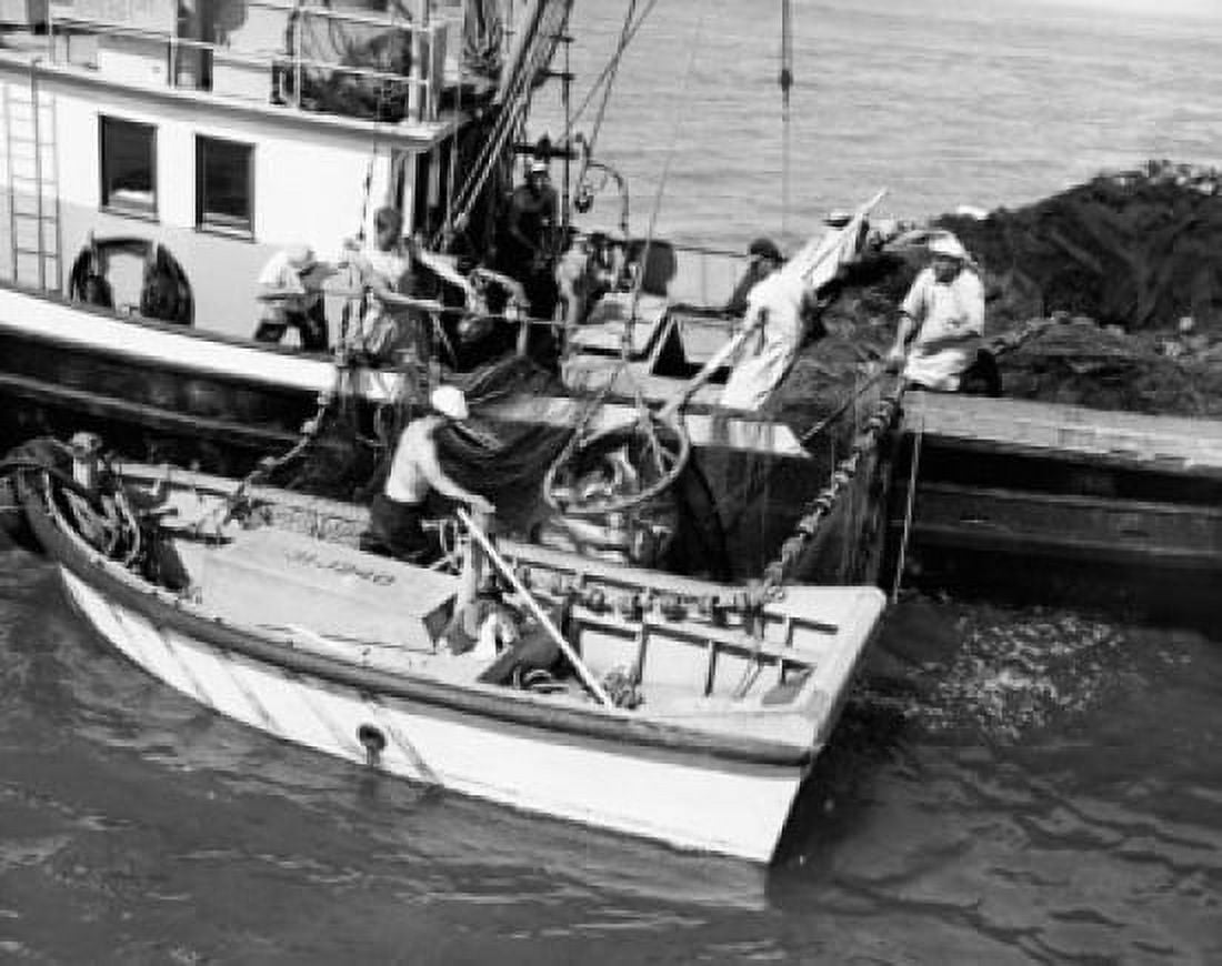 High angle view of fishermen fishing in the sea Puget Sound Washington state USA Canvas Art - (18 x 24)