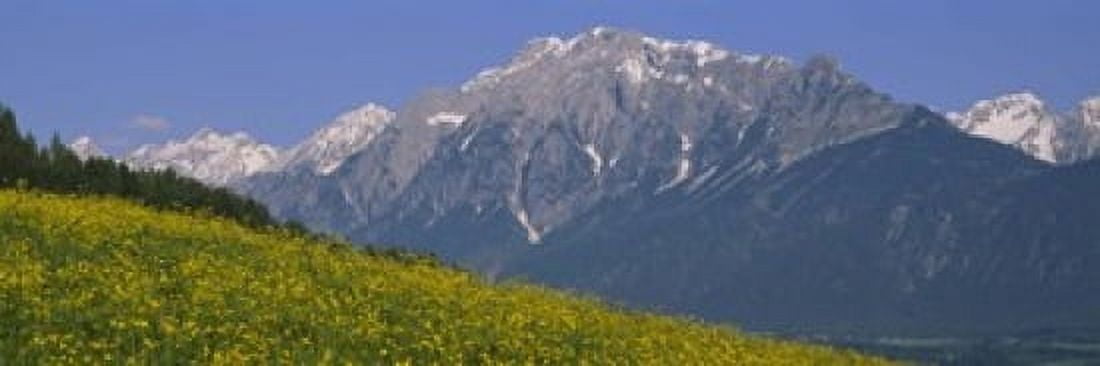 High angle view of flowers on a landscape Tirol Austria Canvas Art - Panoramic Images (18 x 6)