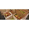 thumbnail image 1 of High angle view of harvested apples in wooden crates  Weinsberg  Baden-Wurttemberg  Germany Poster Print by  - 36 x 12, 1 of 1