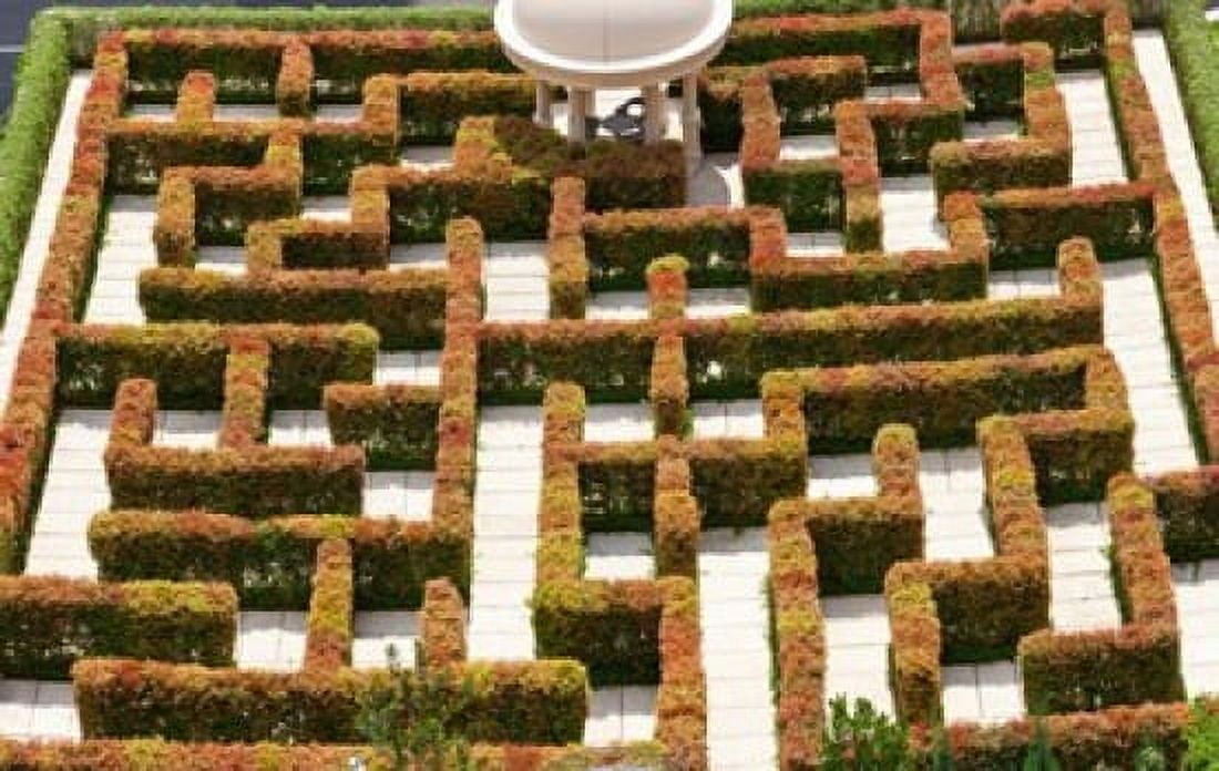 High angle view of maze at Ritz-Carlton Residences Singapore Canvas Art - Panoramic Images (36 x 23)