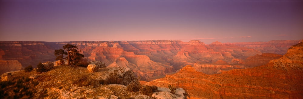 High angle view of mountains Grand Canyon National Park Grand Canyon Arizona USA Canvas Art - Panoramic Images (6 x 18)