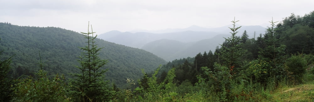 High angle view of mountains in fog Great Smoky Mountains North Carolina USA Canvas Art - Panoramic Images (6 x 18)